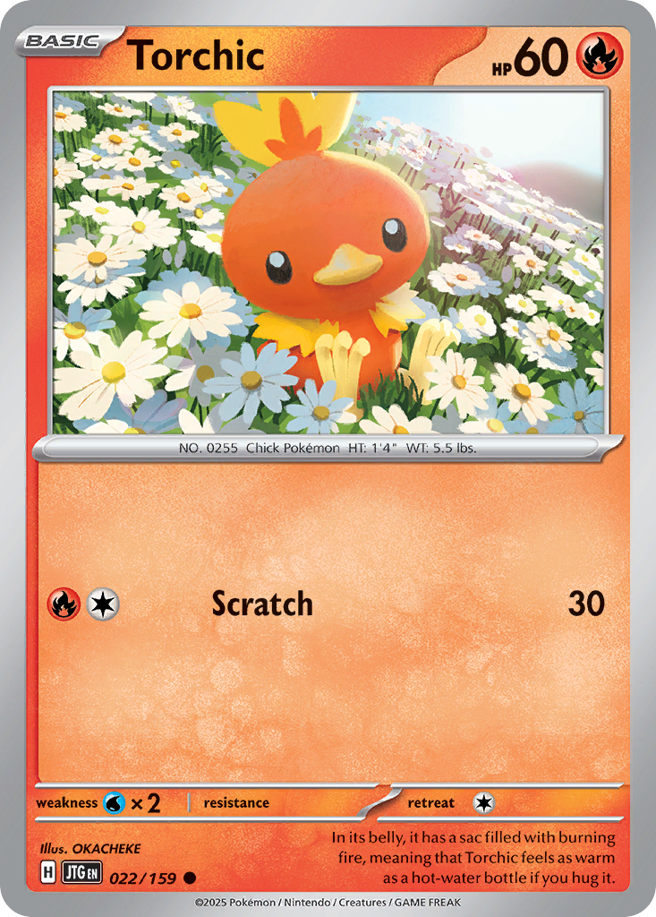 Torchic
